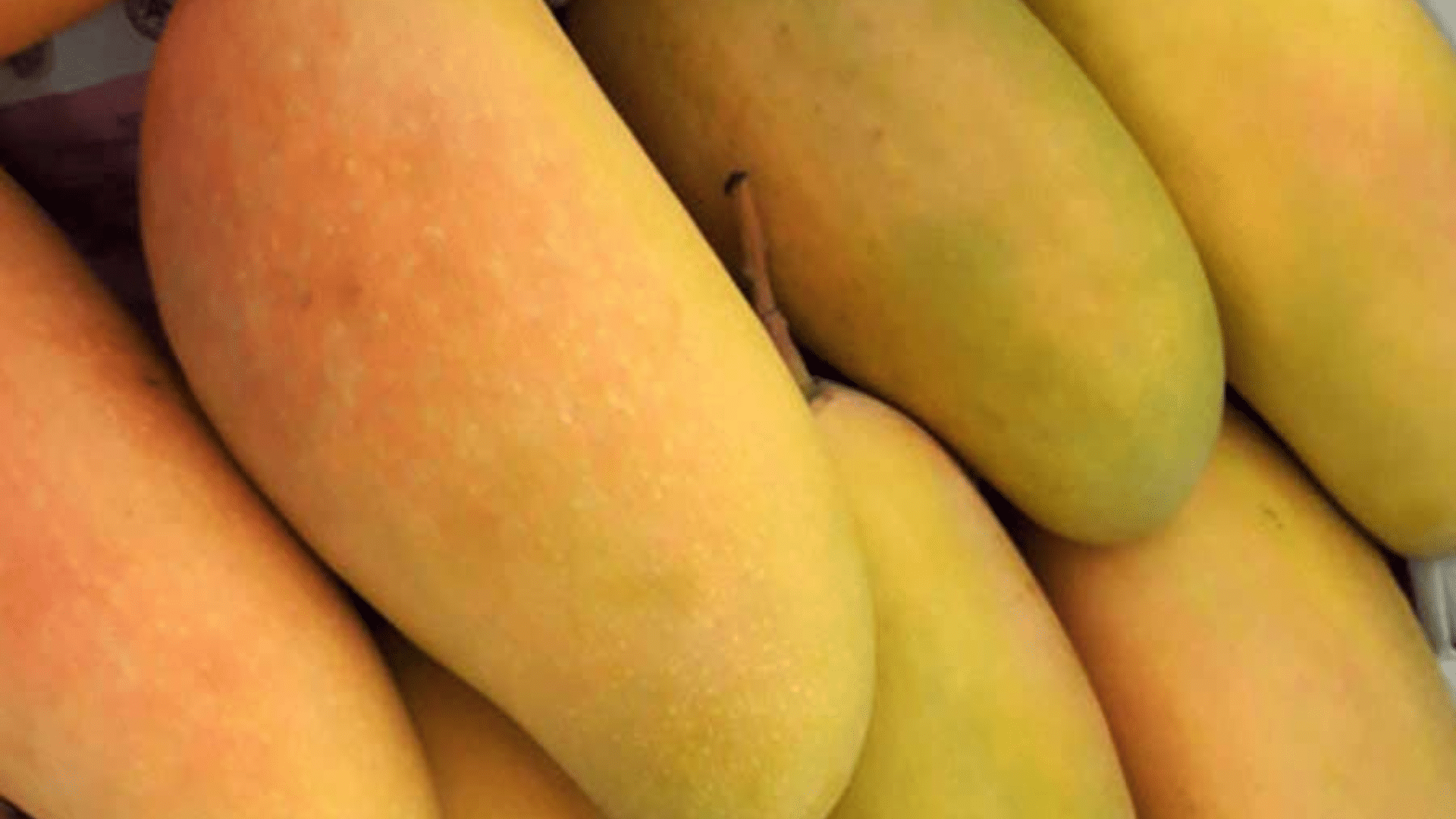 Thai_Mango