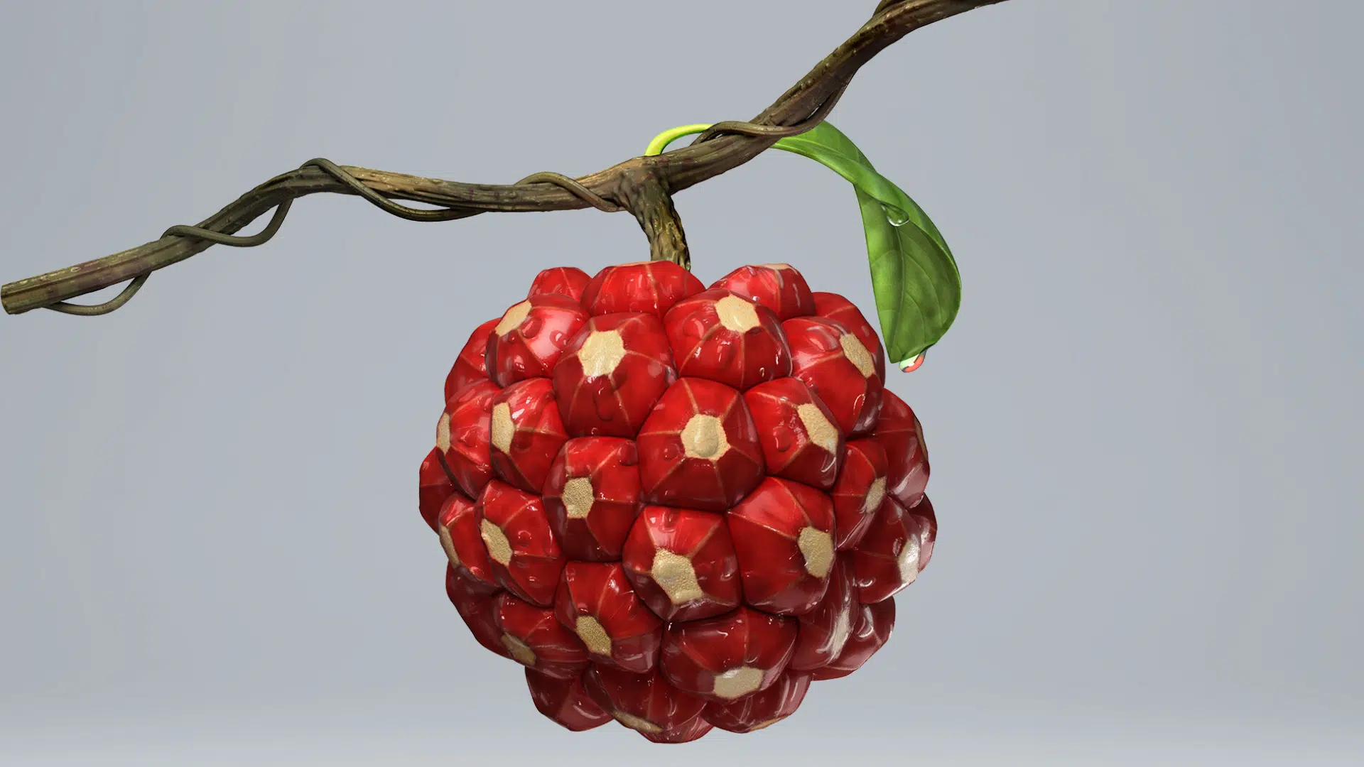 Tiger_Fruit
