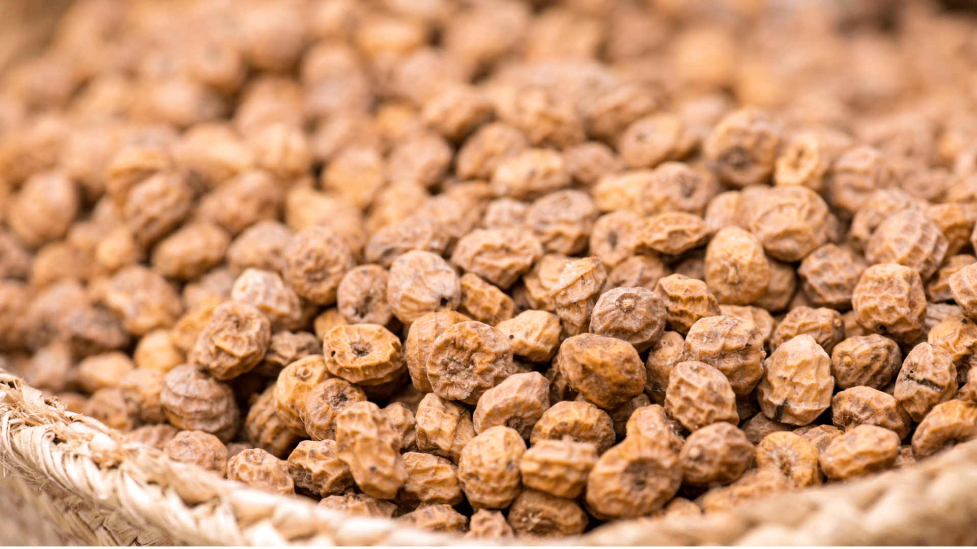 Tiger_Nut