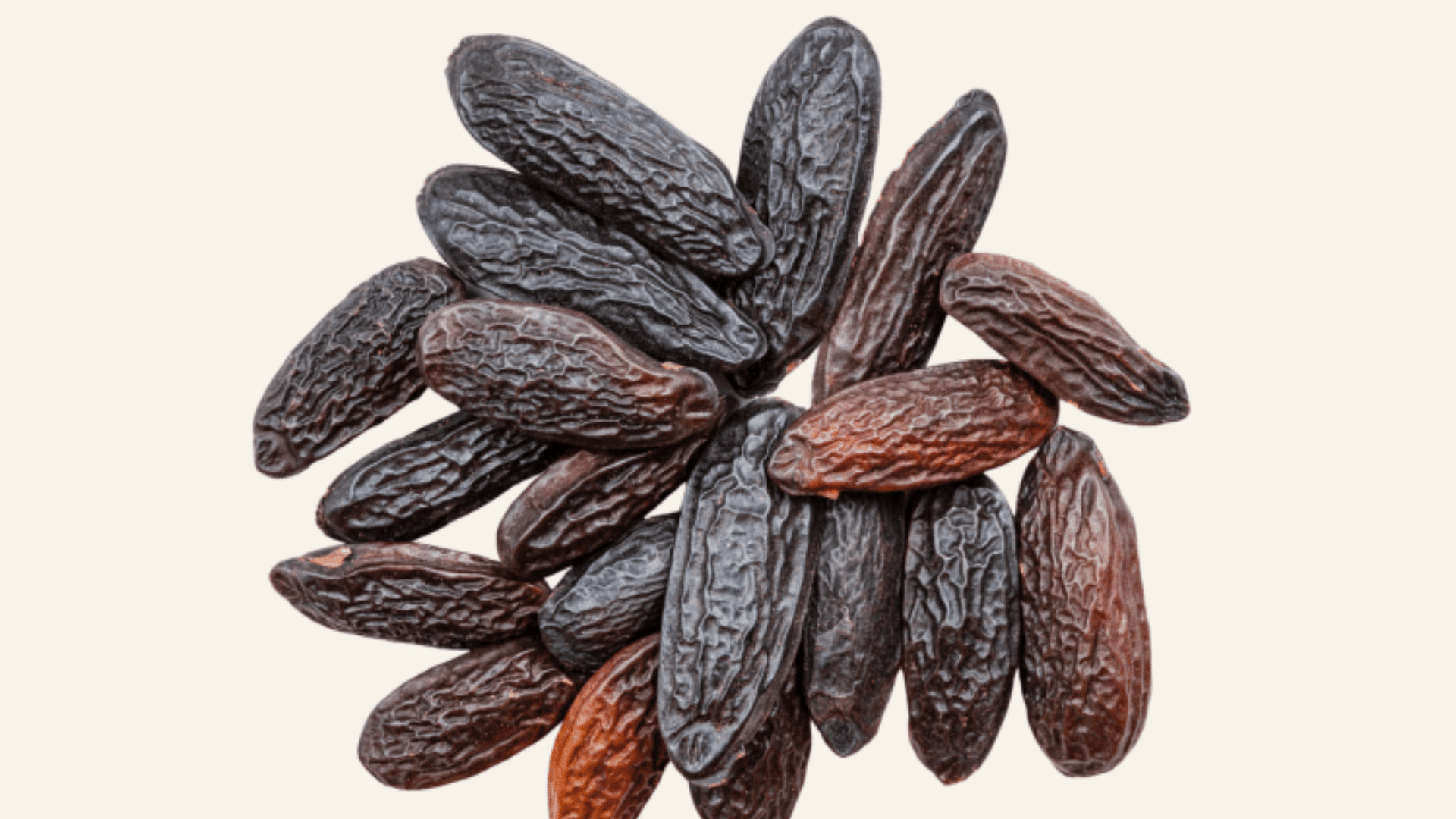 Tonka_Bean