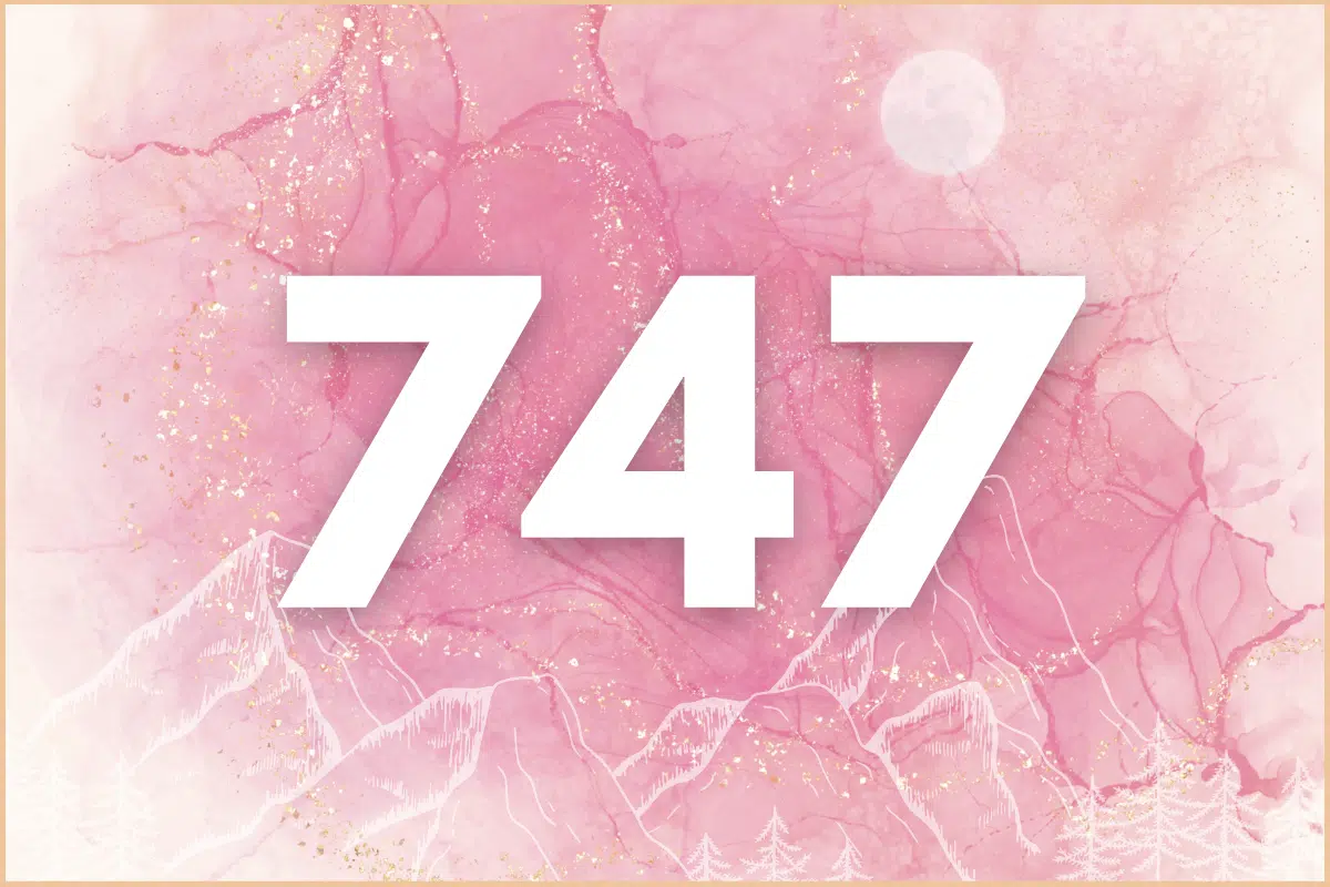 What is the Meaning of 747?