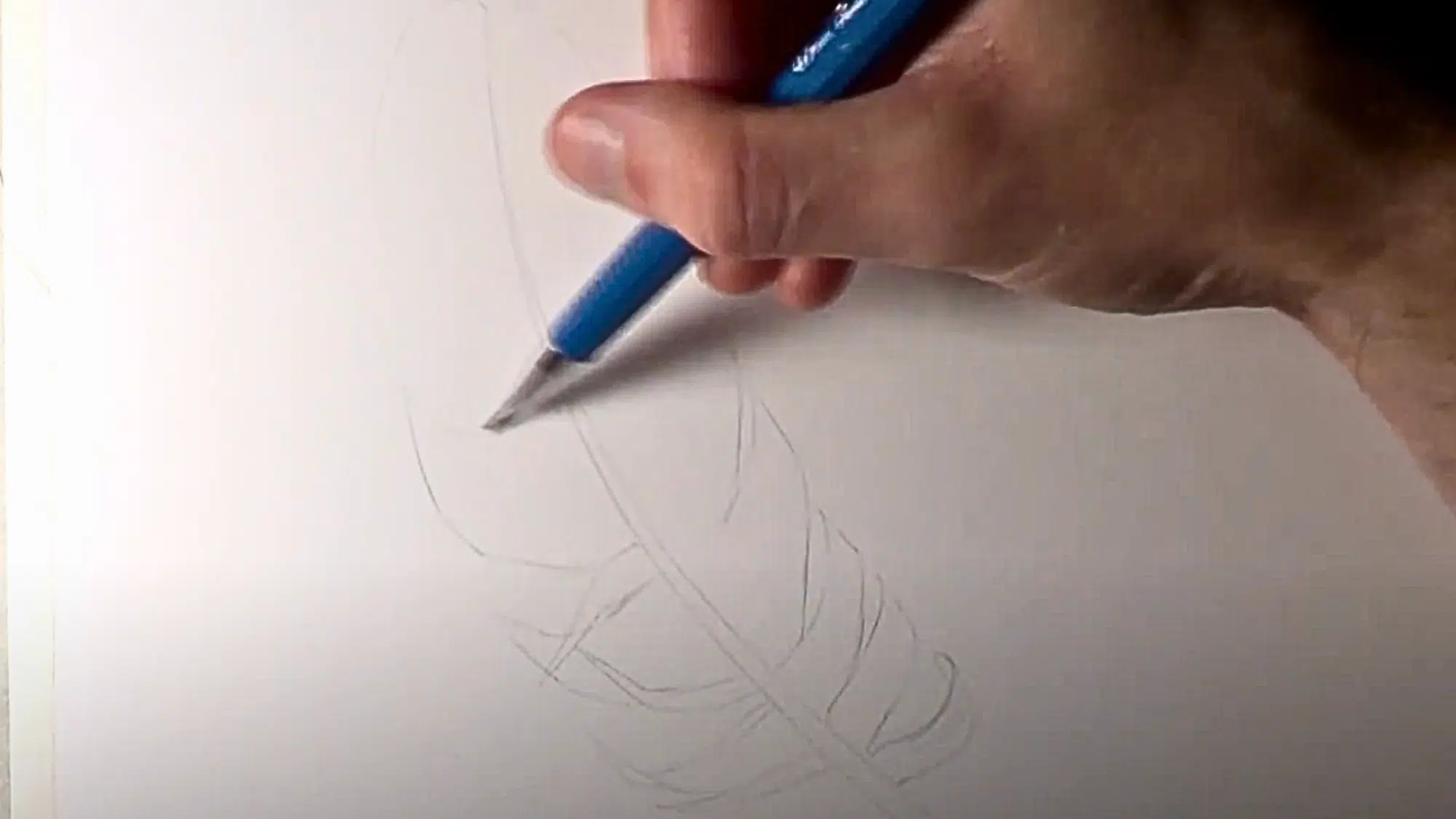 Add_Details_to_the_Feathers_Edges