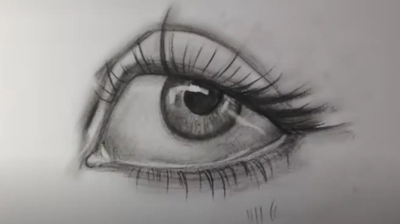 Add_Highlights_for_Realism_and_Final_Touches