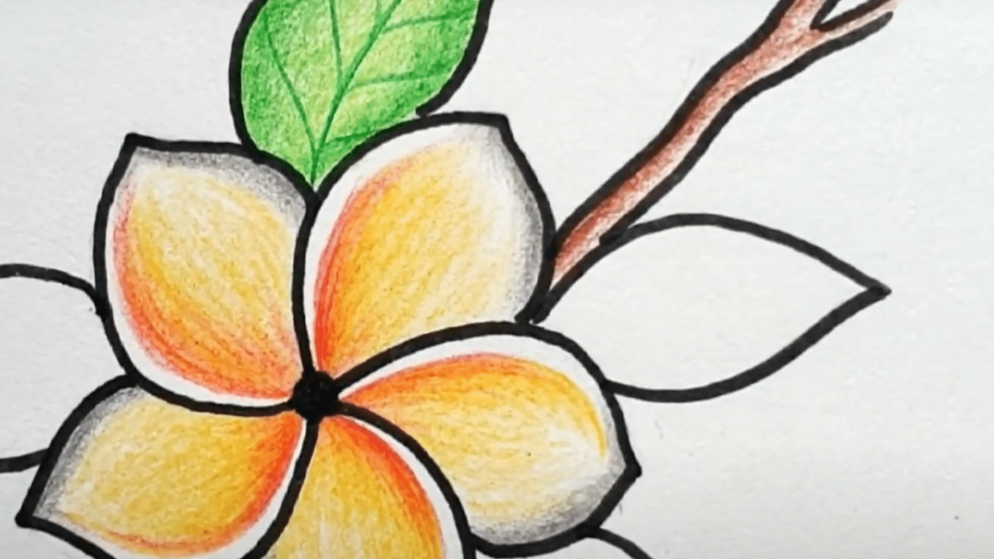 Add_Leaves