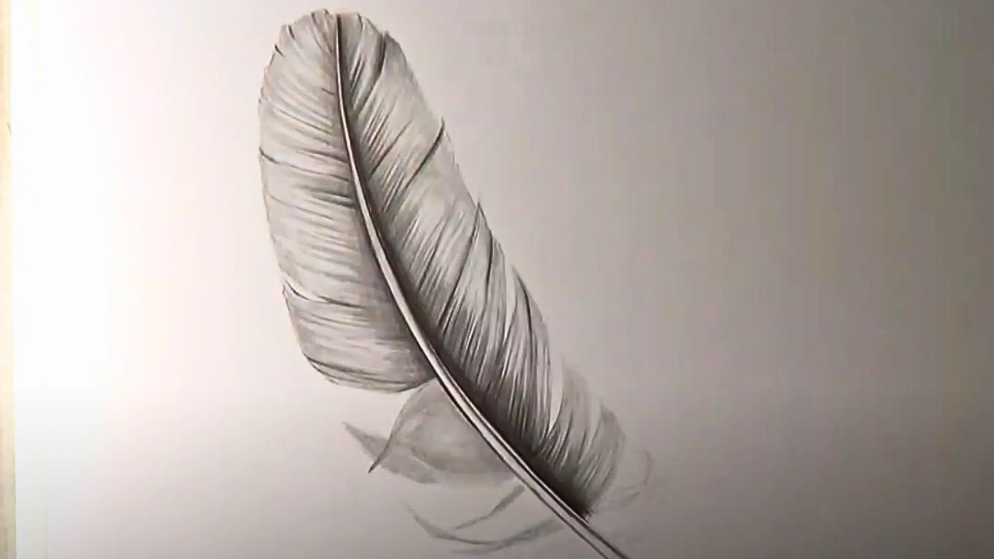Add_Texture_to_the_Feathers_Surface