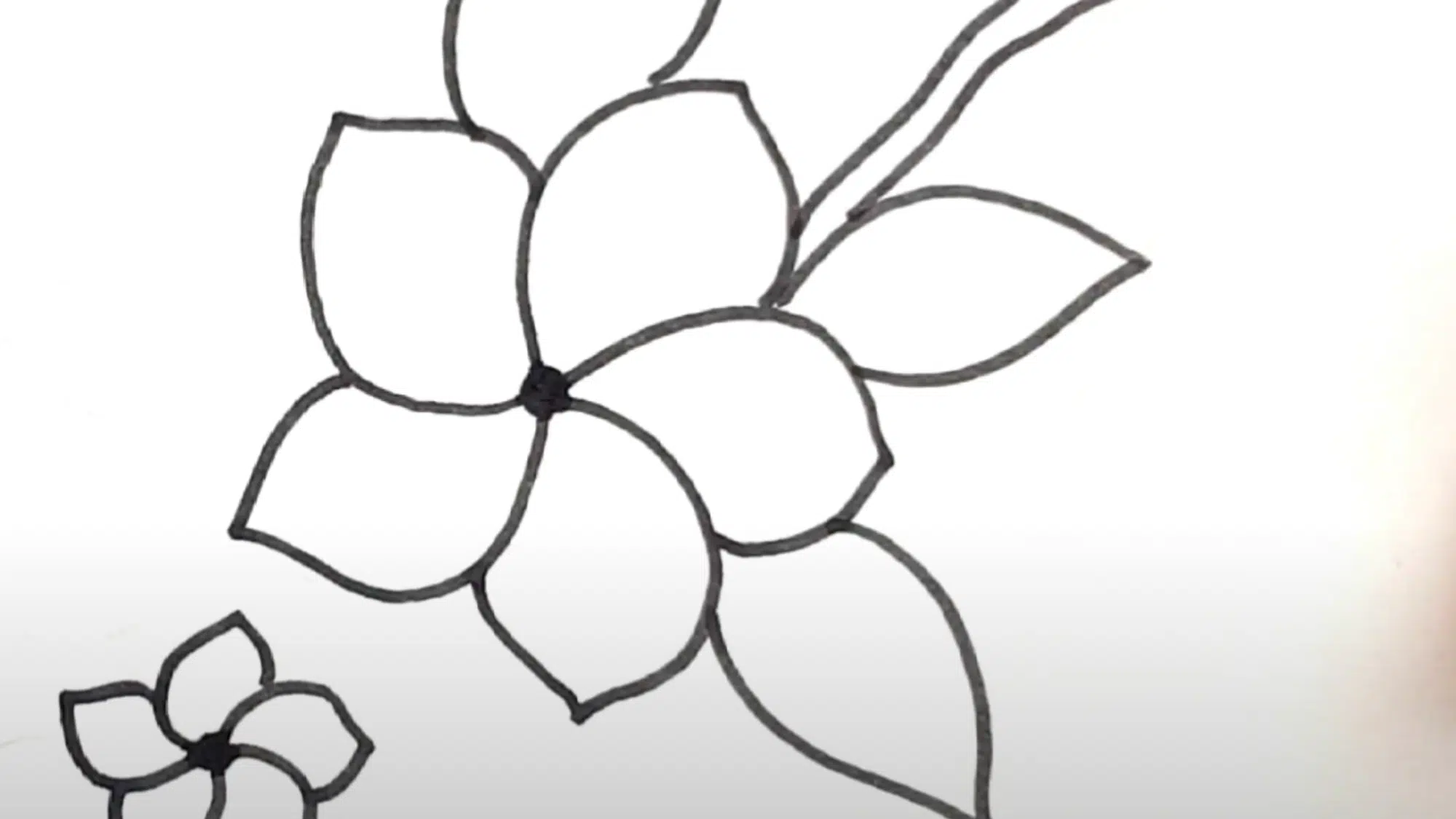 Add_the_Center_of_the_Flower