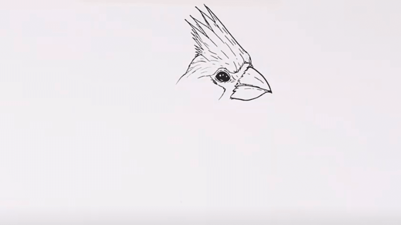 Add_the_Signature_Head_Crest