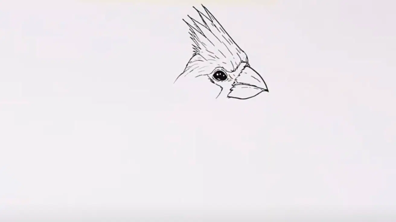 Add_the_Signature_Head_Crest