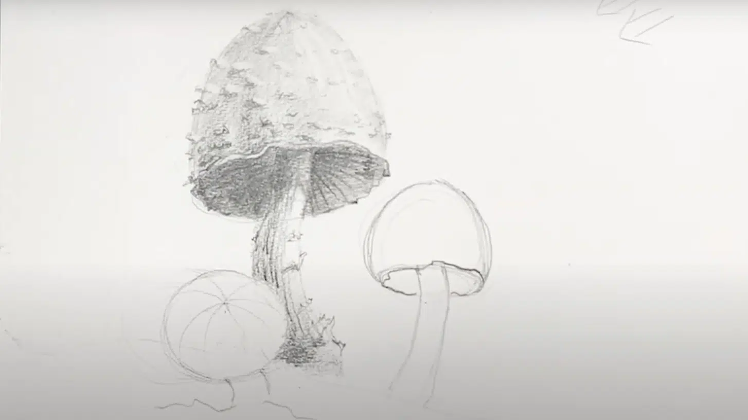 Adding_Details_to_the_Mushroom_Cap