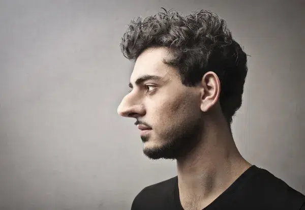 Best_One-Liners_and_Puns_About_Big_Noses
