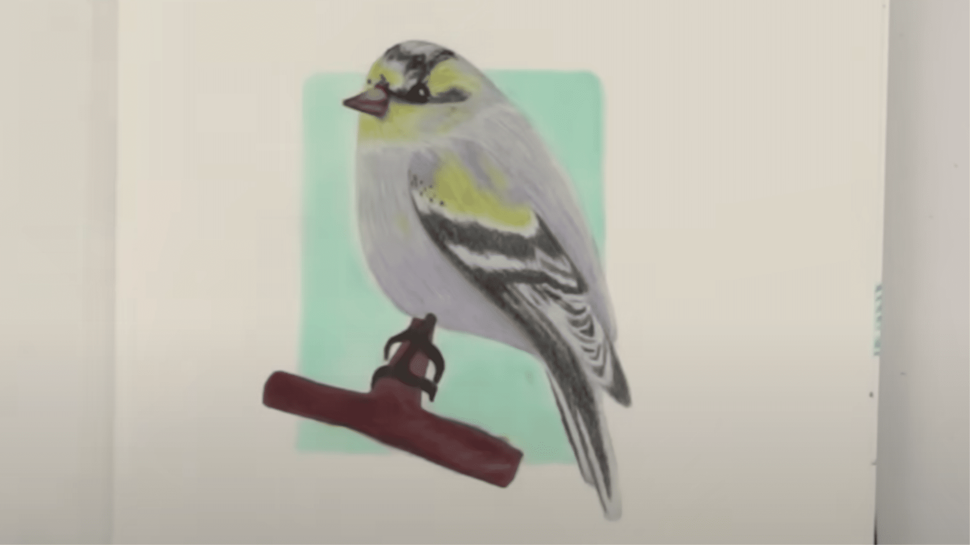 Bird_Sketching