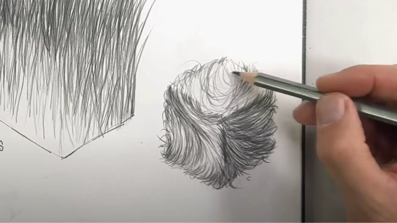 Capture_the_Softness_of_Fur