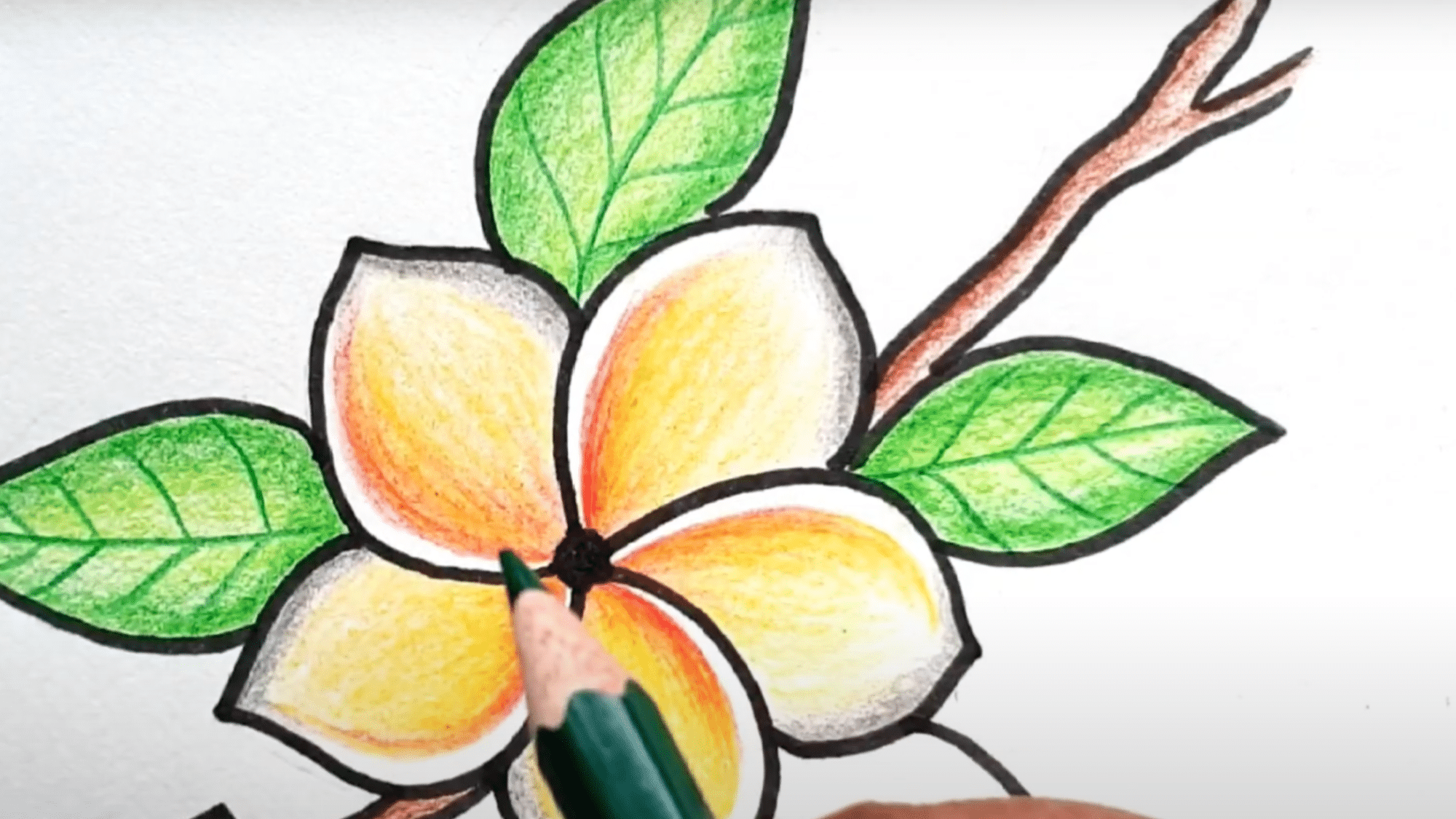 Color_the_Flower