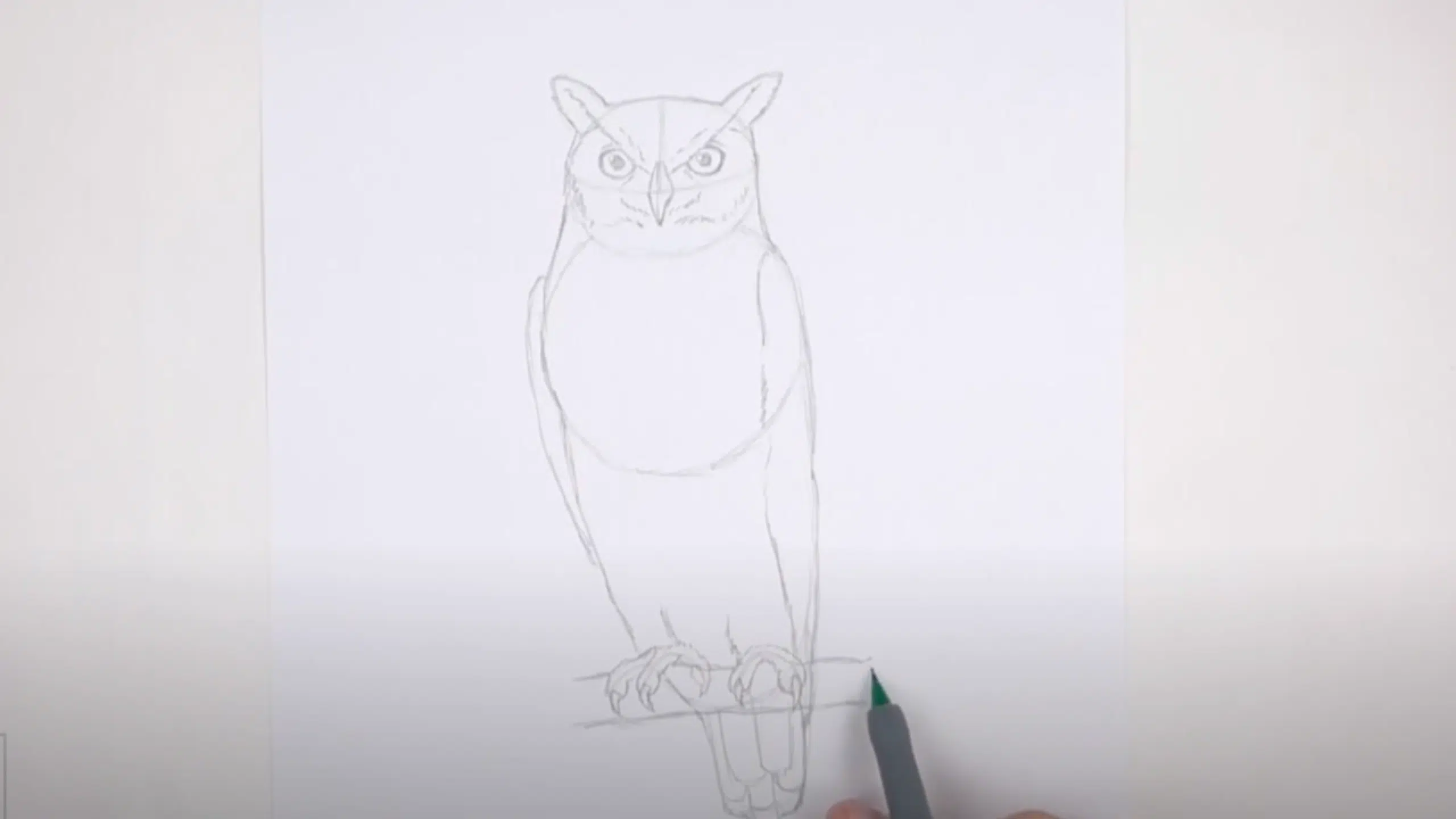 Define_the_Neck_Wings_Feet_and_Tail