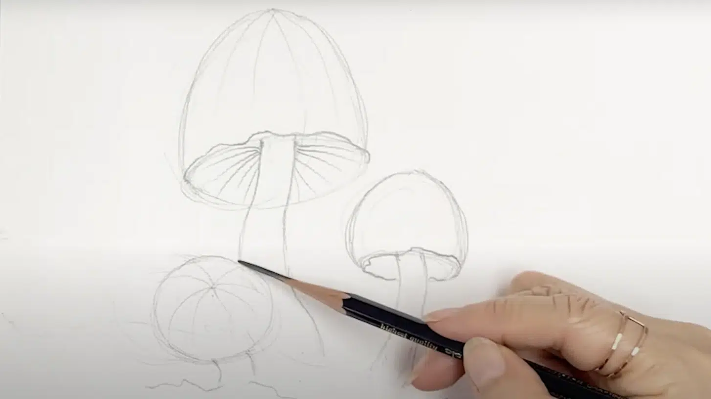 Defining_the_Mushroom_Cap_and_Stem