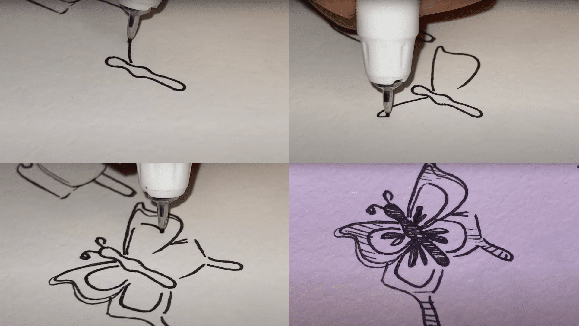 Design_a_Butterfly_with_Custom_Wings
