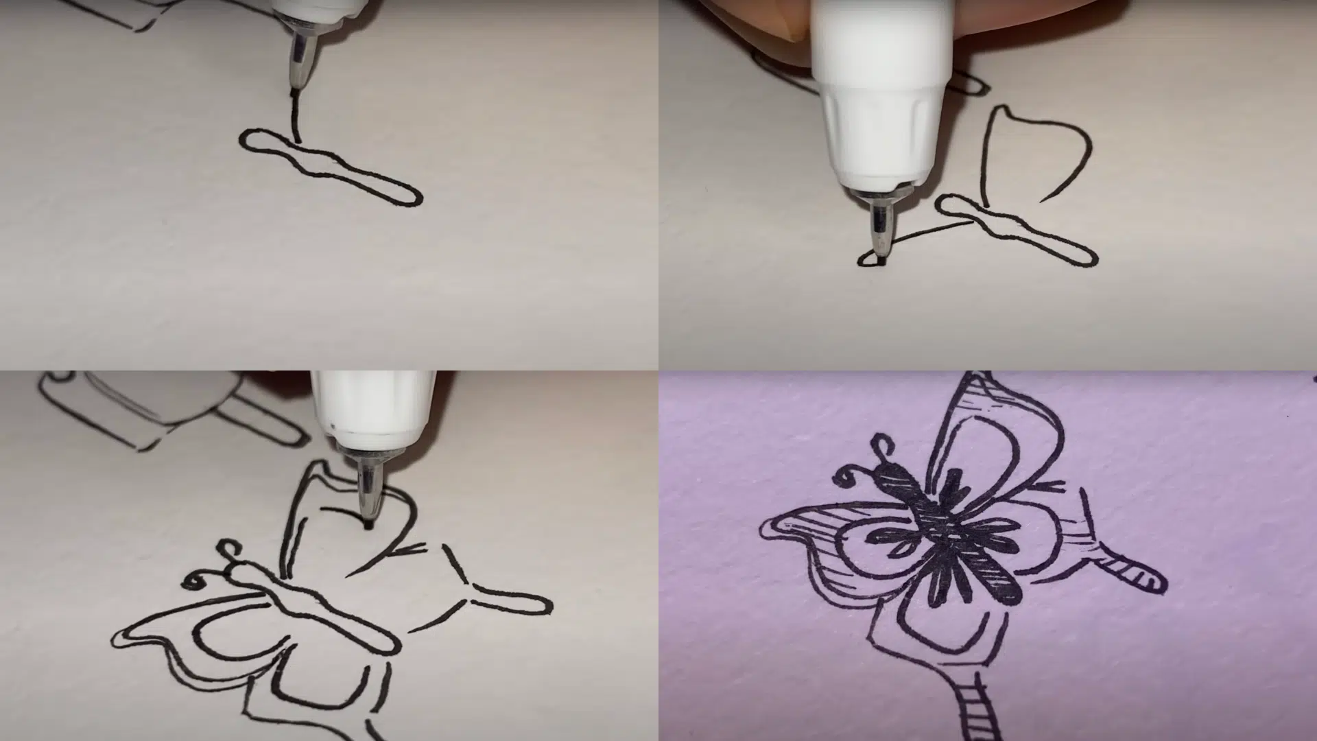 Design_a_Butterfly_with_Custom_Wings