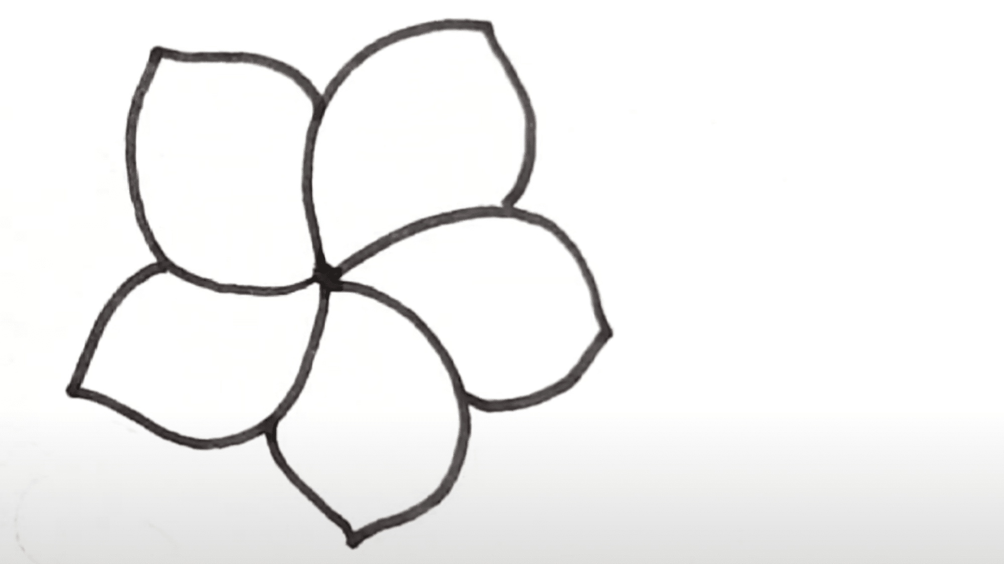 Draw_the_Basic_Shape_of_the_Petals