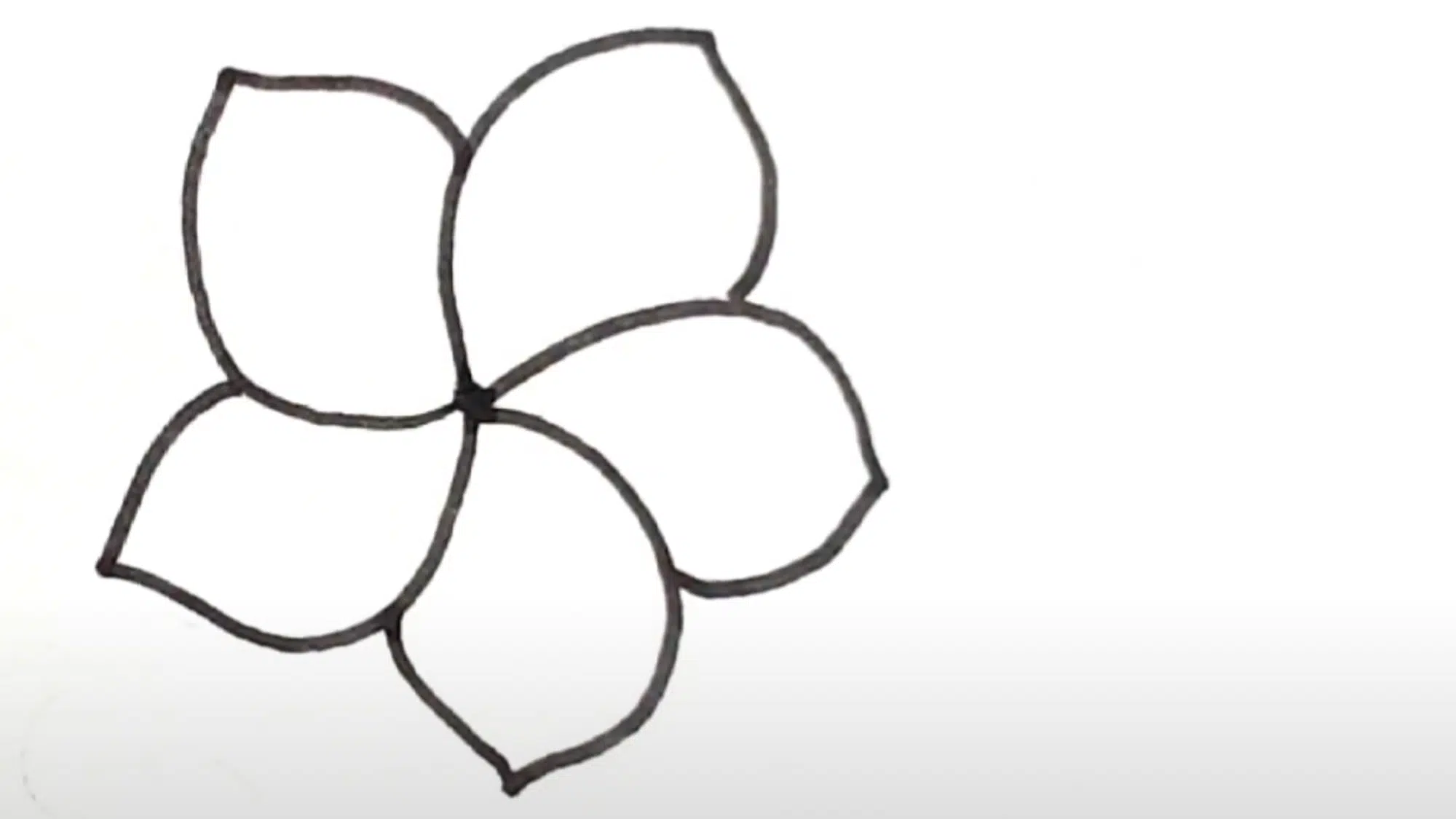 Draw_the_Basic_Shape_of_the_Petals