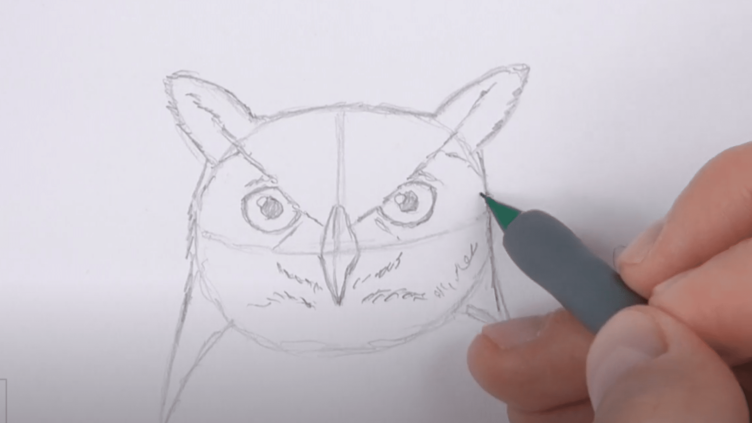 Draw_the_Beak_Eyes_and_Facial_Features