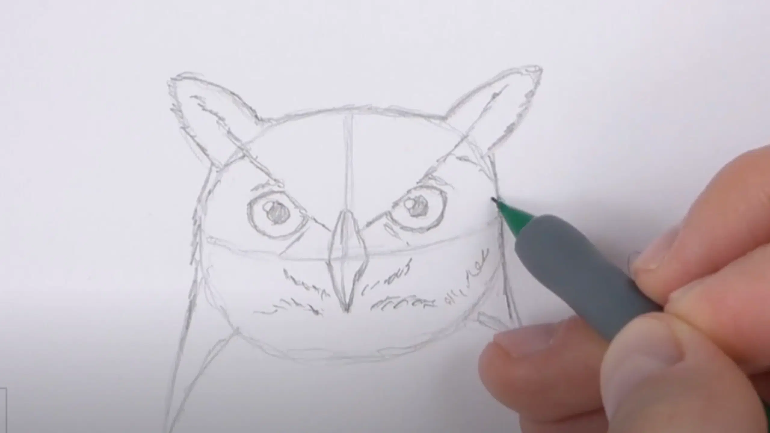 Draw_the_Beak_Eyes_and_Facial_Features