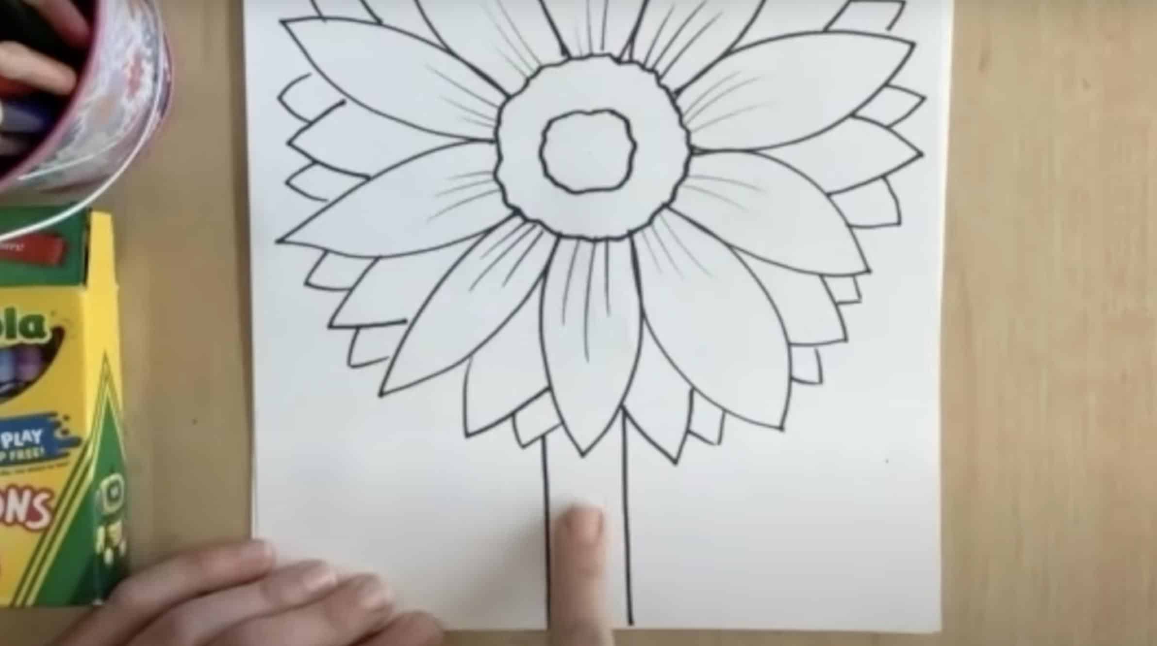 Draw_the_Stem