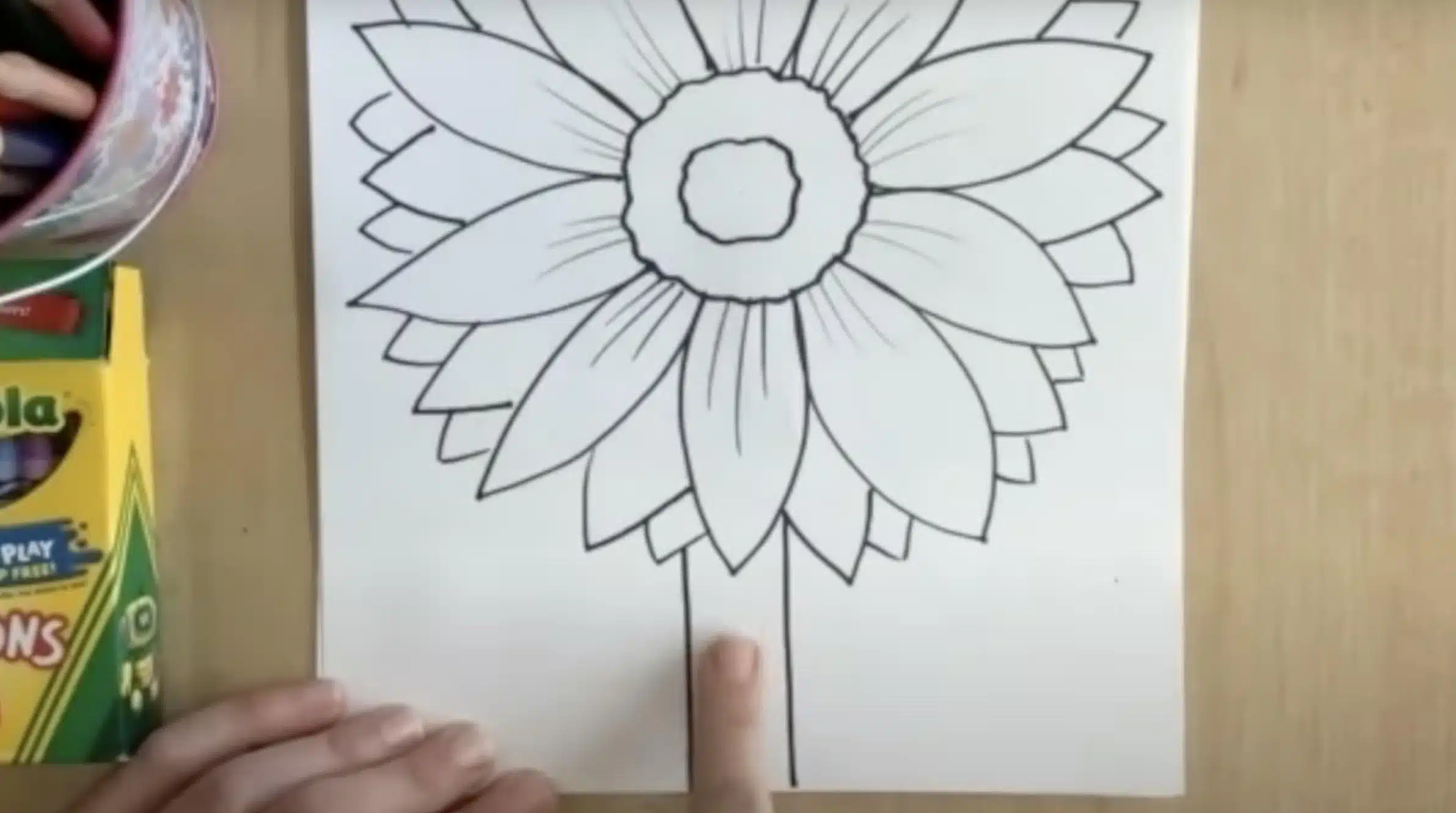 Draw_the_Stem
