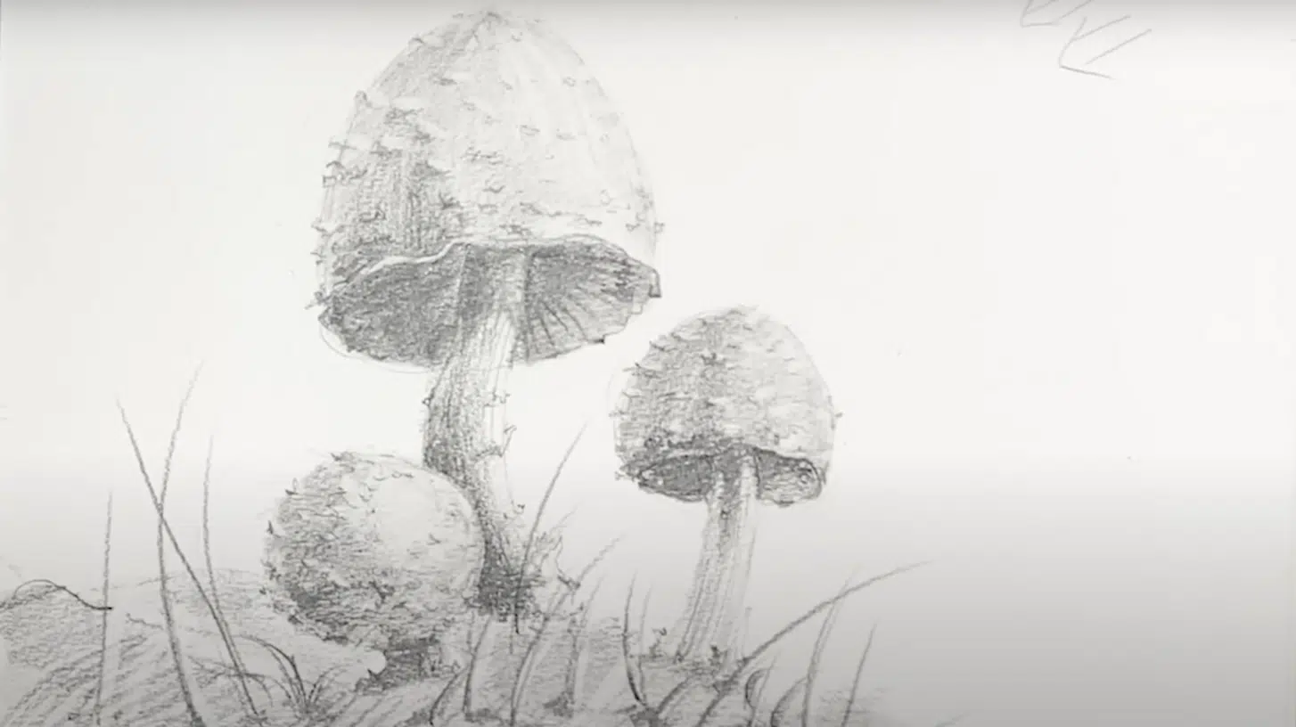 Final_Touches_and_Grounding_the_Mushroom