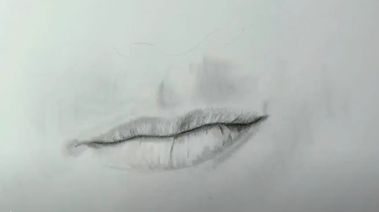 Follow_the_Lip_Creases