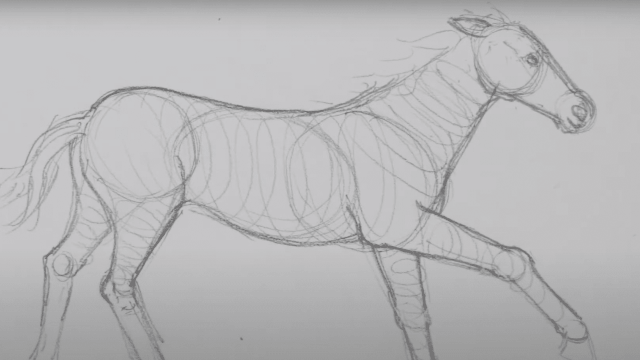 Form_the_Neck_and_Head_Structure