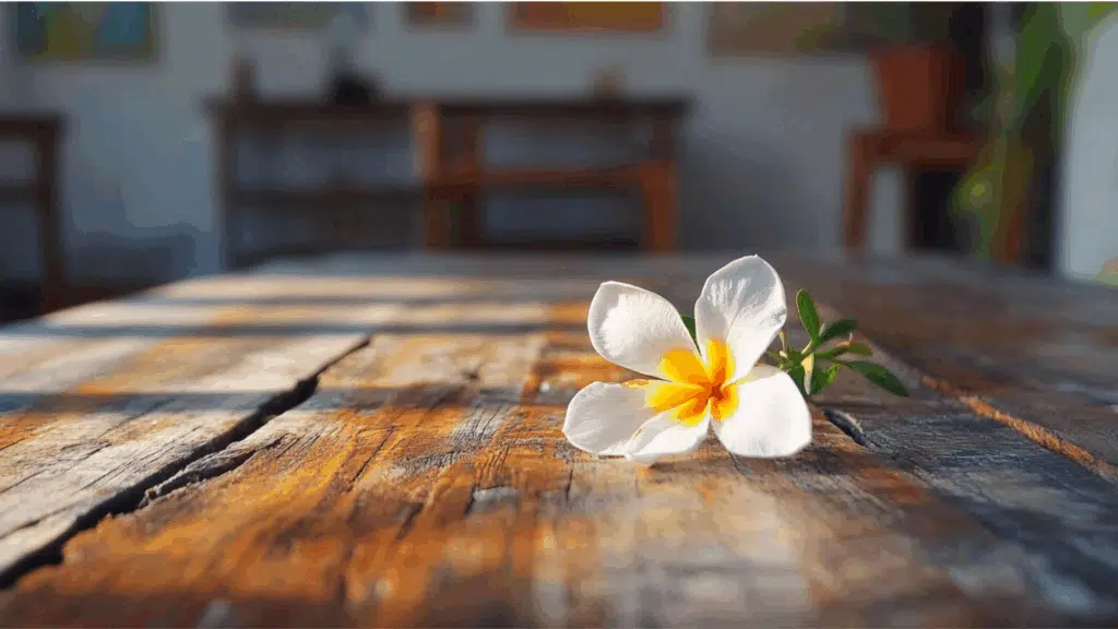 How to Draw Jasmine Flowers Easily