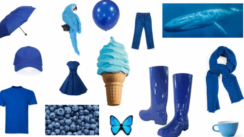 Must-See List of Blue Things Around Us