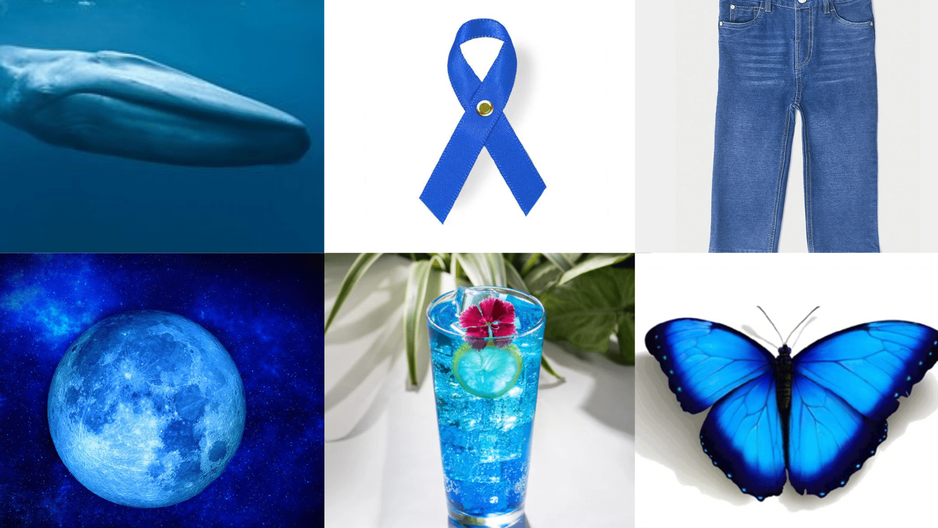 Natures_Lively_Blues_From_Sky_to_Sea