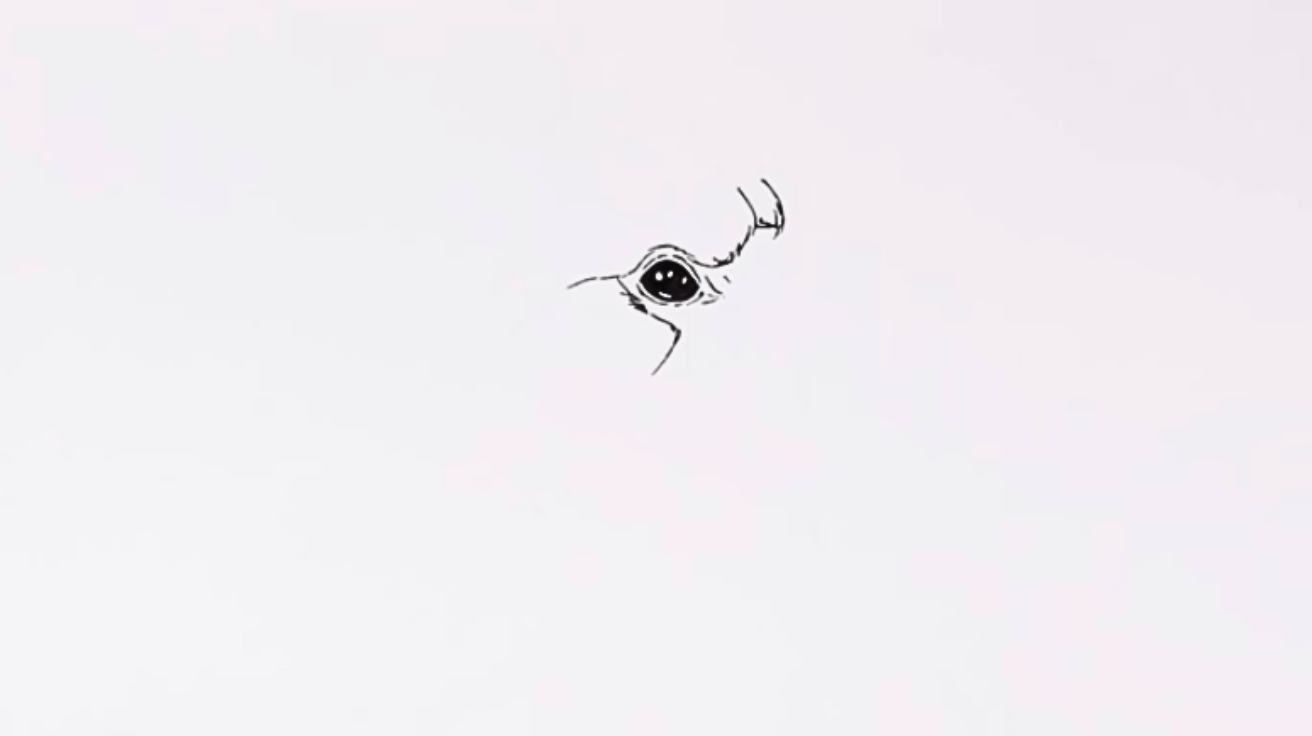 Outline_the_Face_and_Feather_Mask