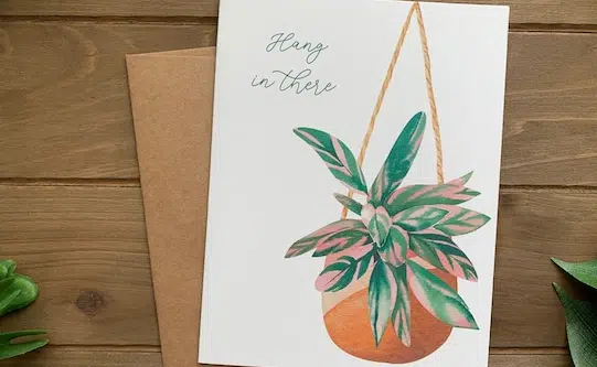 Plant_Puns_for_Specific_Occasions