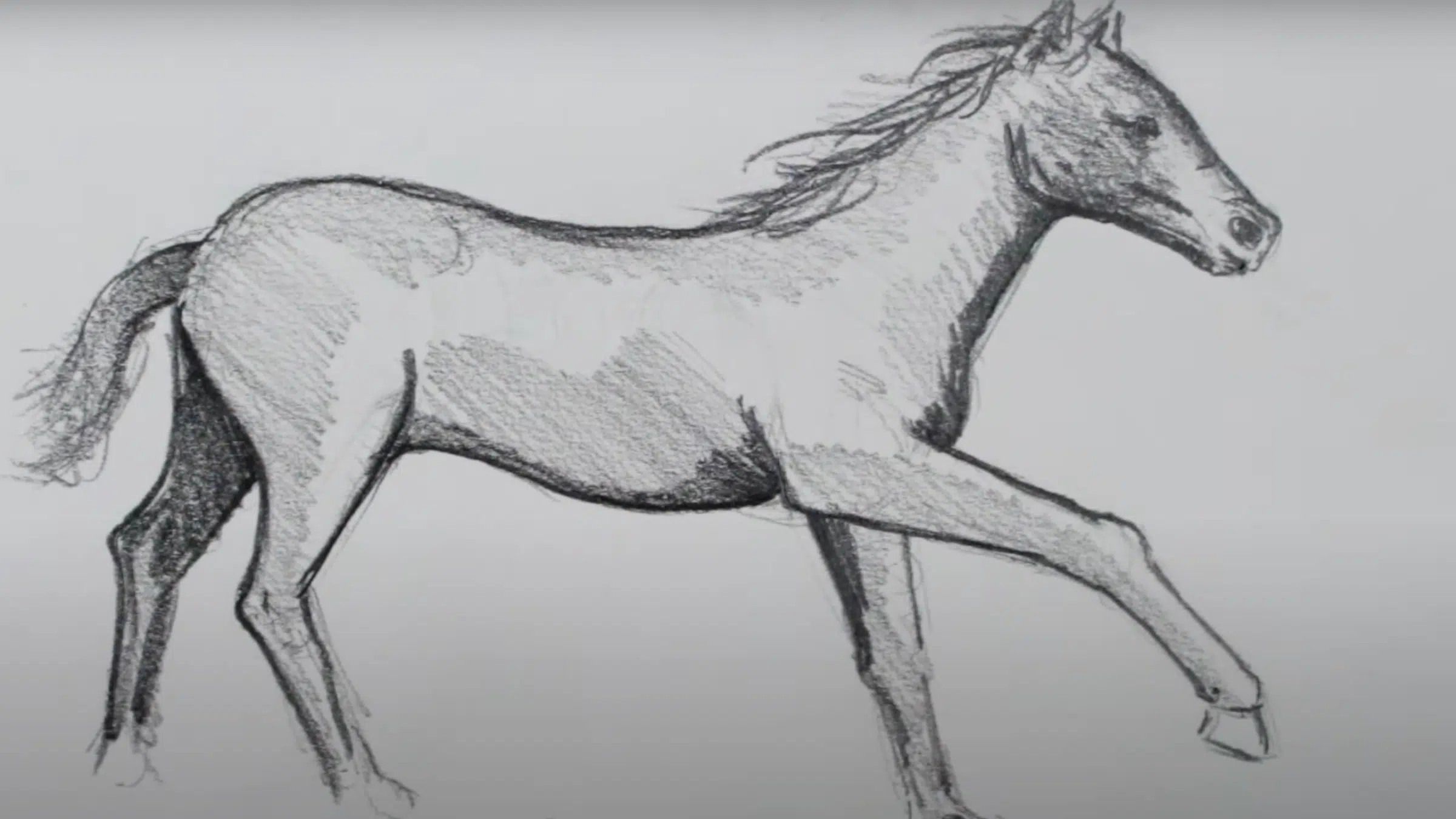 Refine_the_Shapes_and_Add_Details