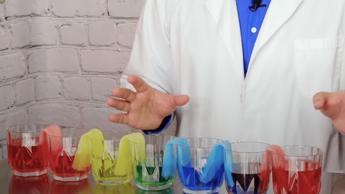 STEP_5_Observe_the_Magic_of_Capillary_Action