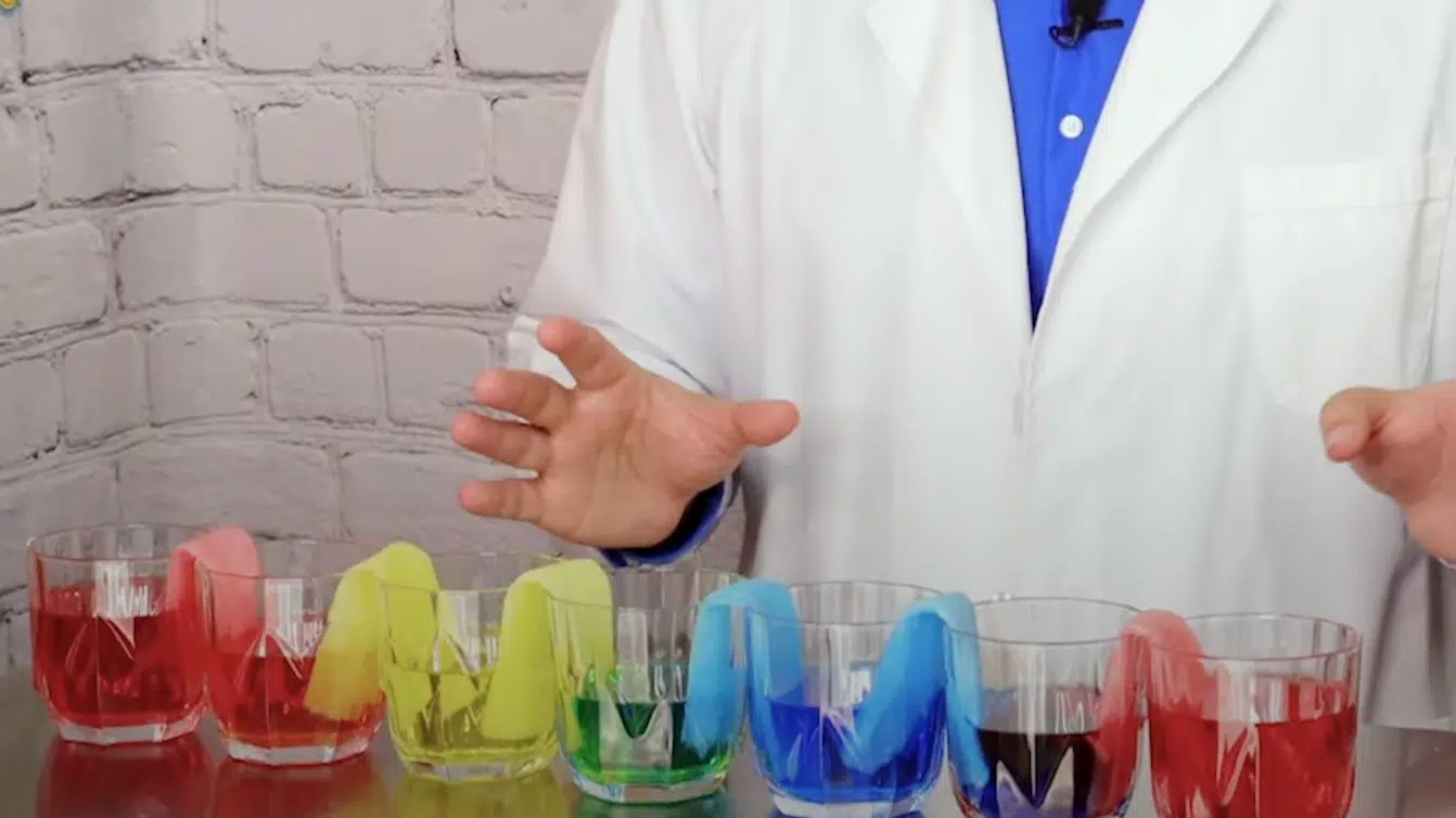 STEP_5_Observe_the_Magic_of_Capillary_Action