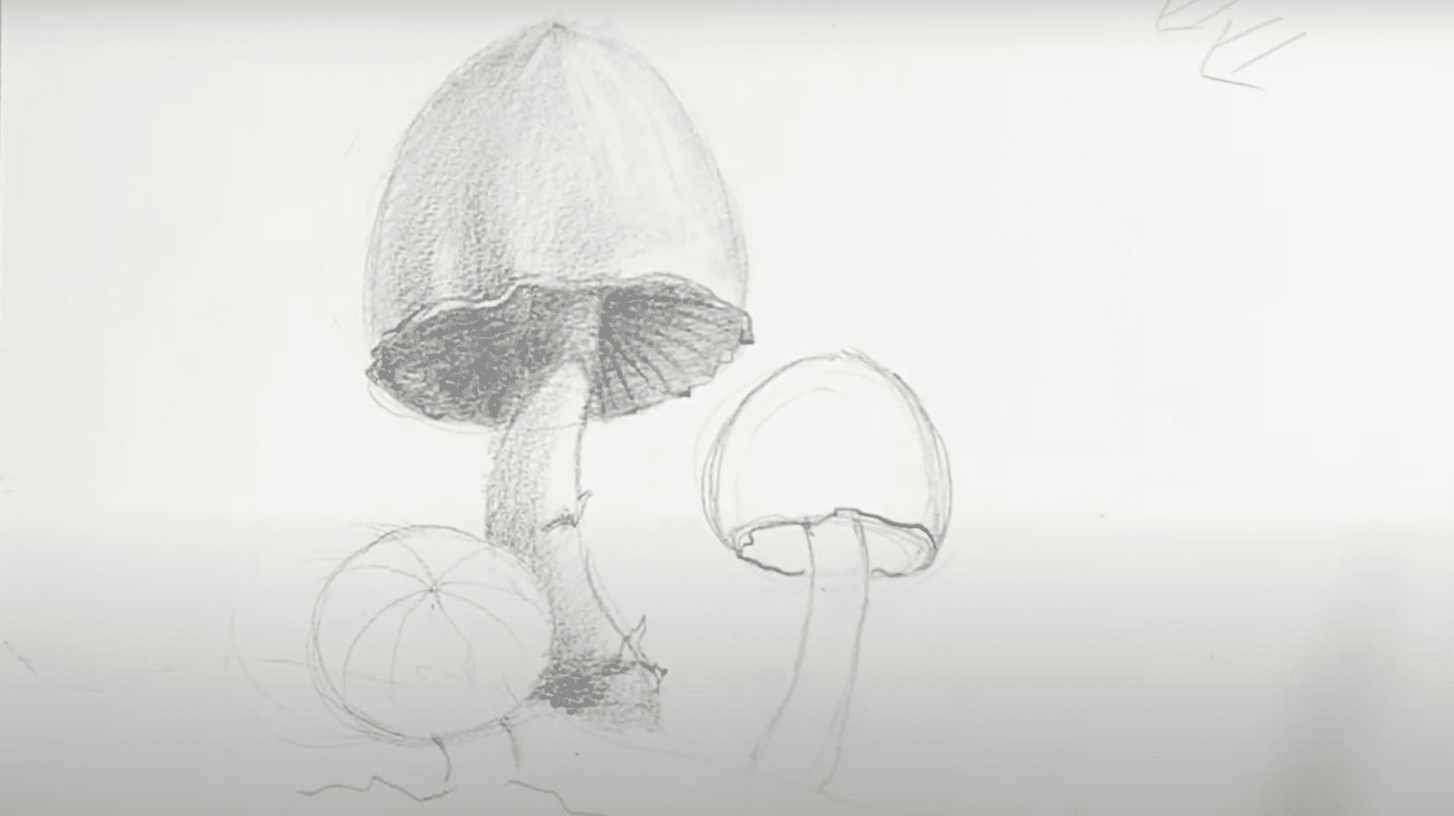 Shading_the_Stem_and_Adding_Texture