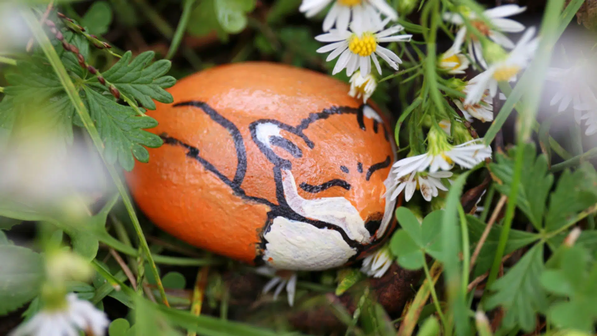 How to Paint Rocks: Easy DIY Art for All Ages - Meredith Plays