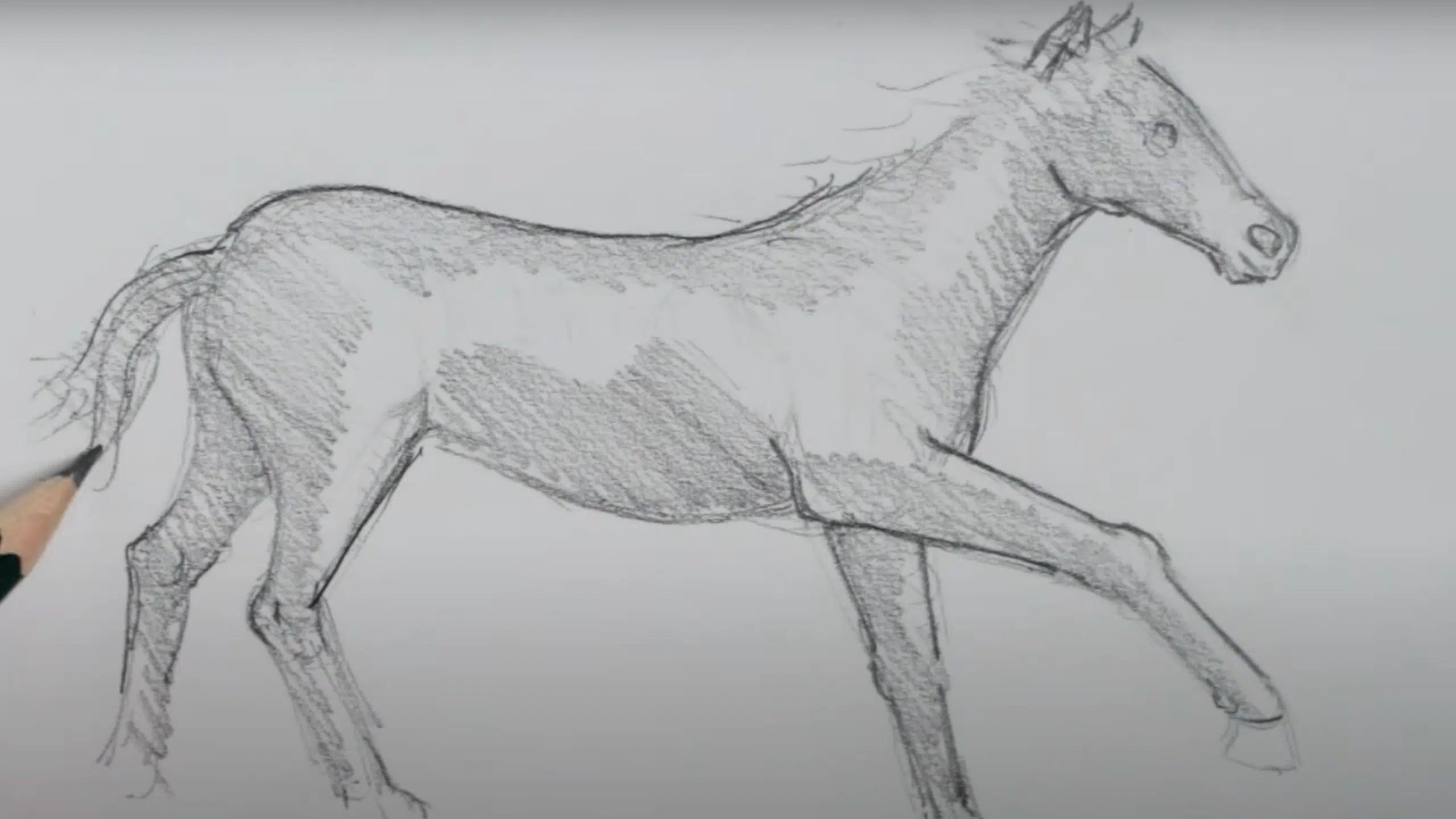 Sketch_the_Back_Legs_and_Tail_Guide