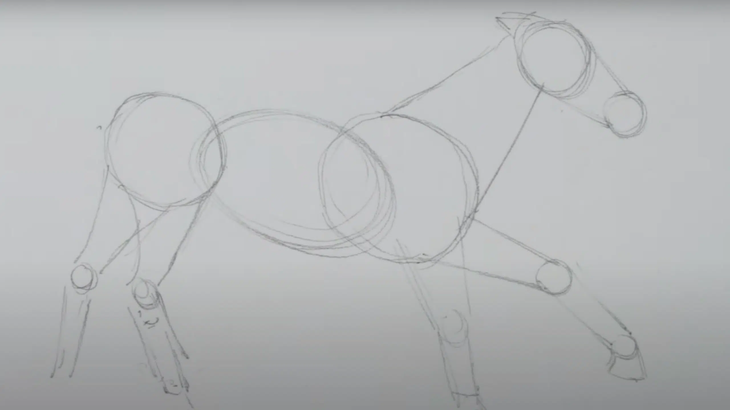 Sketch_the_Basic_Body_Shapes