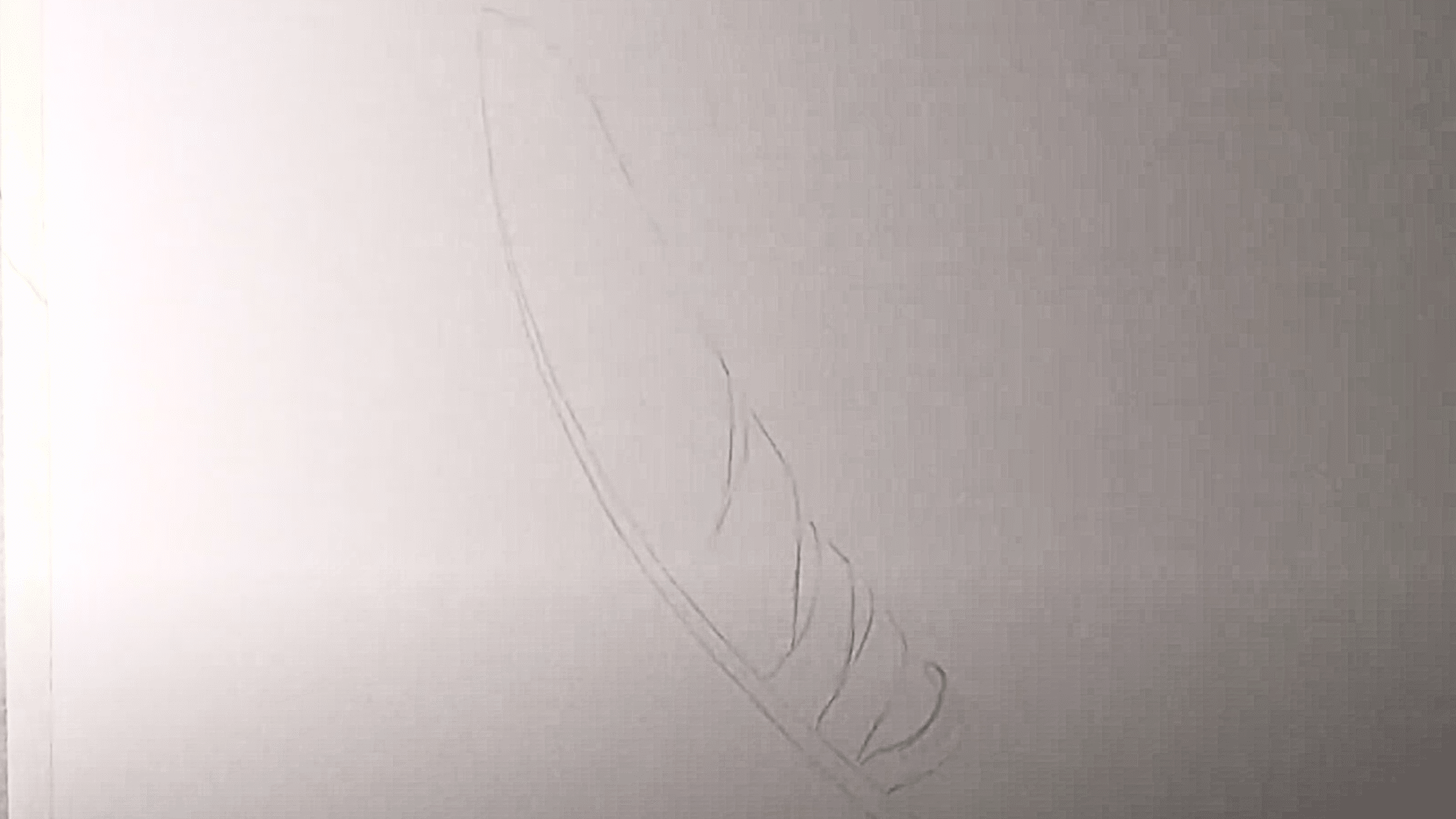 Sketch_the_Feathers_Outline