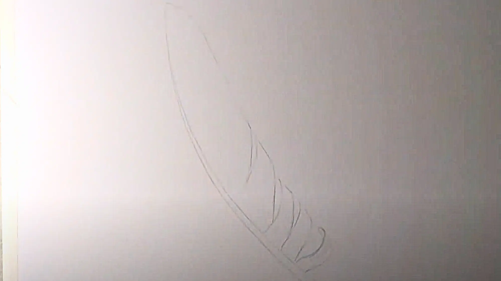 Sketch_the_Feathers_Outline