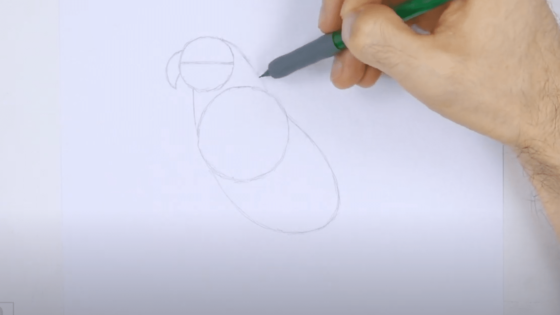 Sketch_the_Head_and_Neck