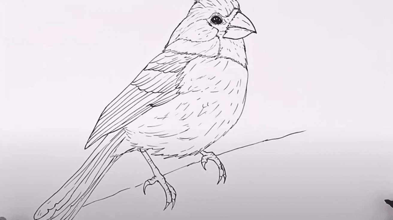 Sketch_the_Legs_and_Gripping_Claws