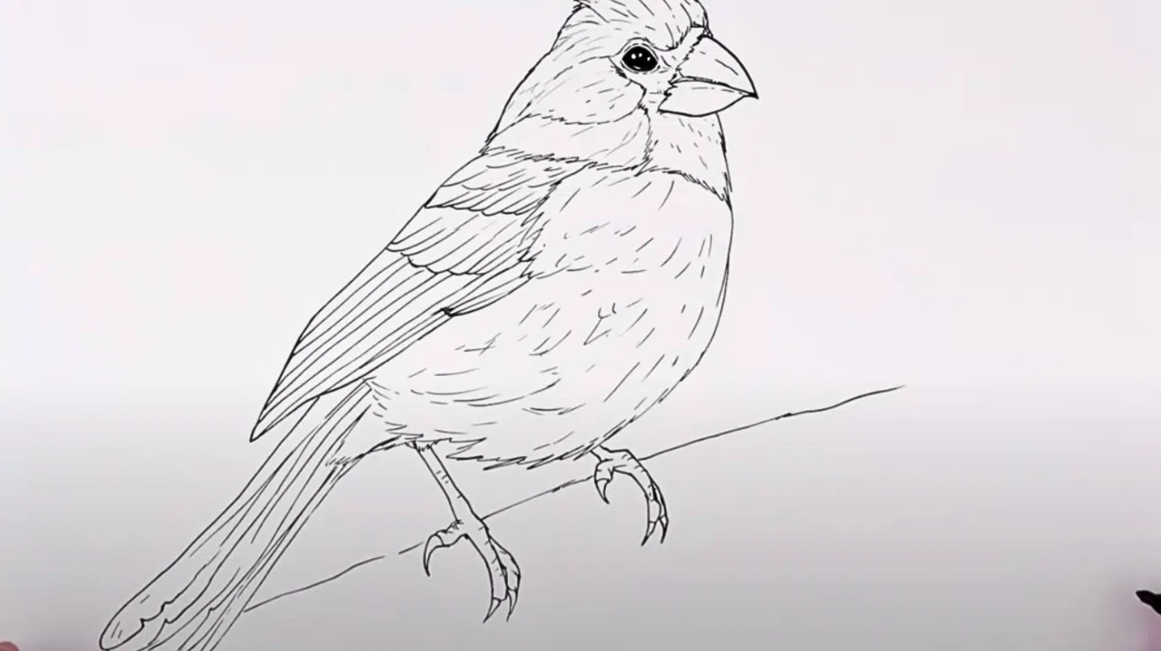 Sketch_the_Legs_and_Gripping_Claws