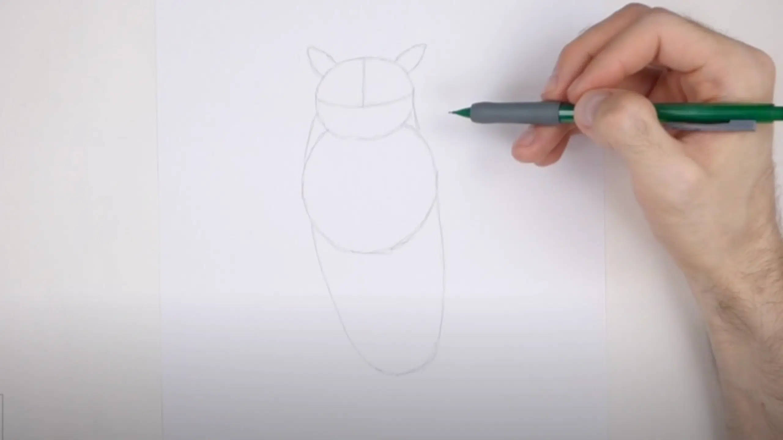 Sketch_the_Owls_Head_and_Body_with_Guiding_Shapes