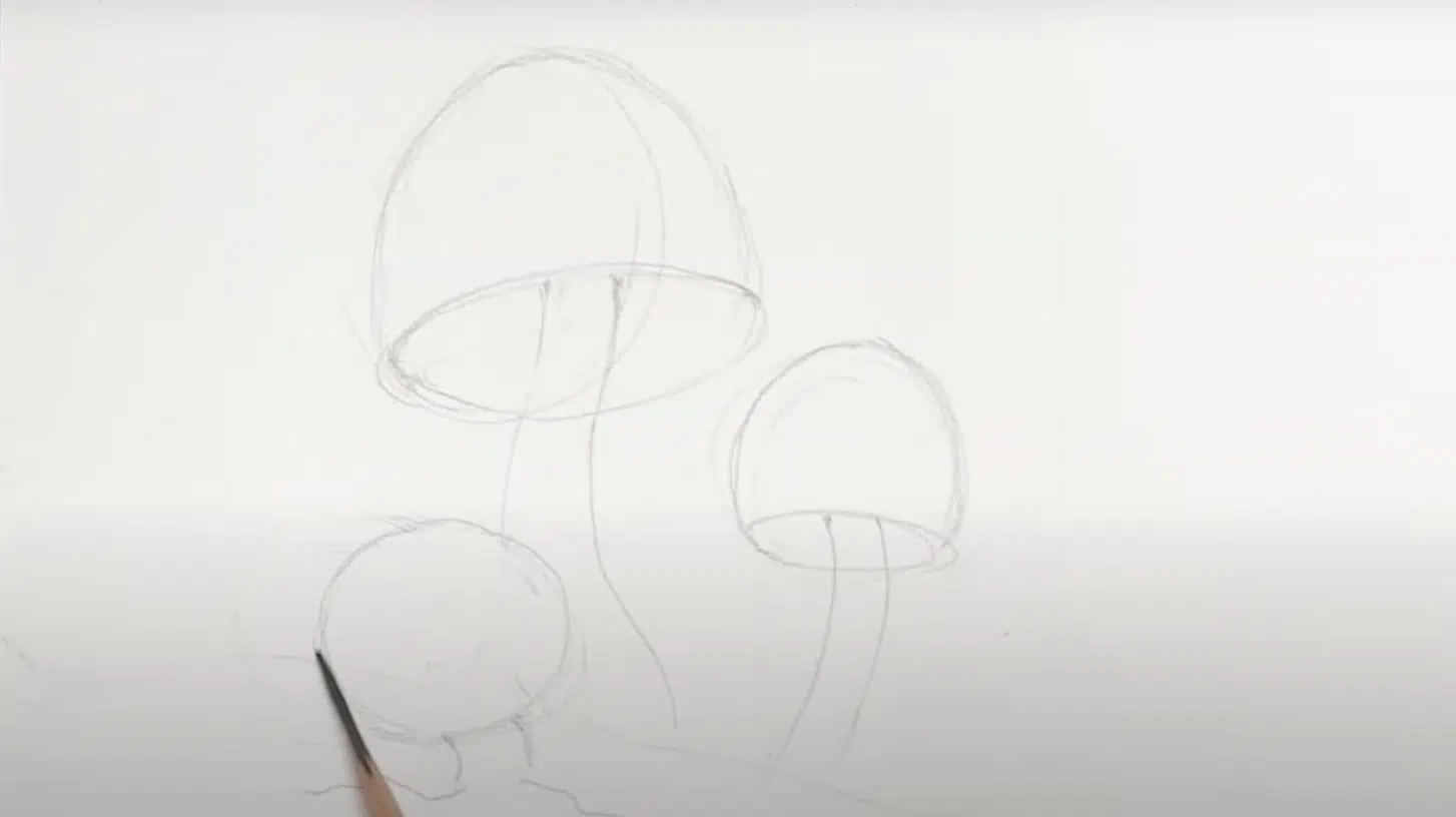 Sketching_the_Basic_Mushroom_Shape