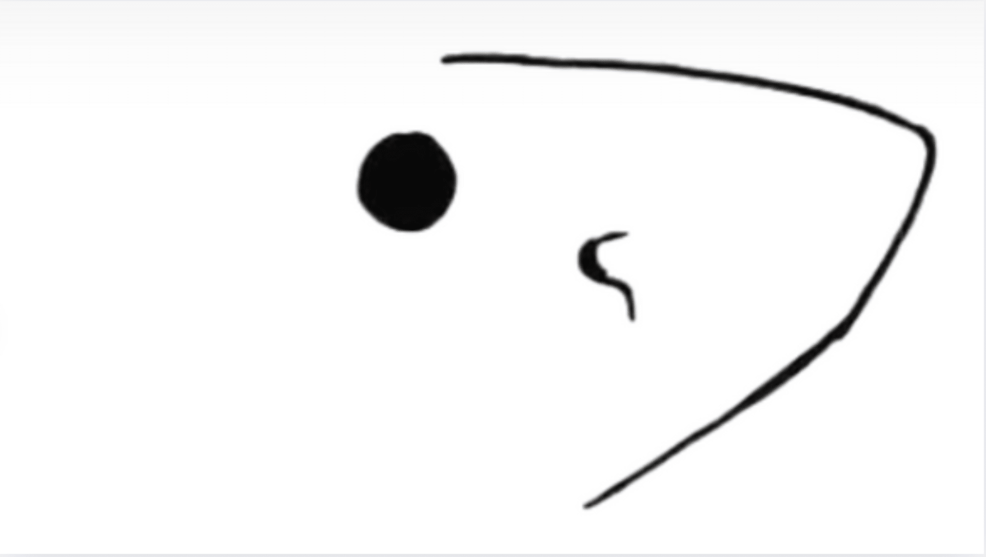 Step_1_Draw_the_Eye_and_Nose